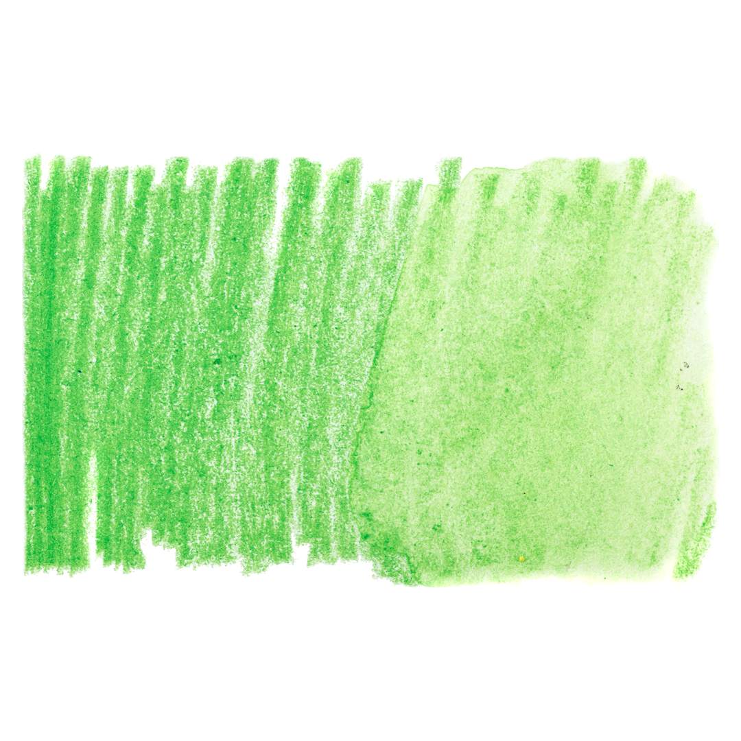 Open in modal - Holbein Artists' Watercolor Pencil - Permanent Green 1, 067 swatch