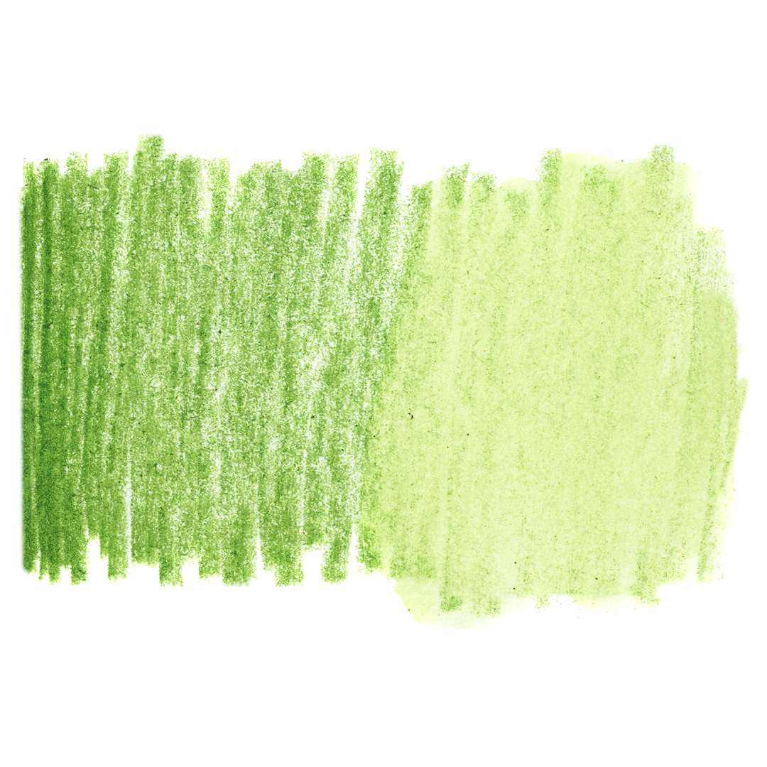 Open in modal - Holbein Artists' Watercolor Pencil - Sap Green, 075 swatch