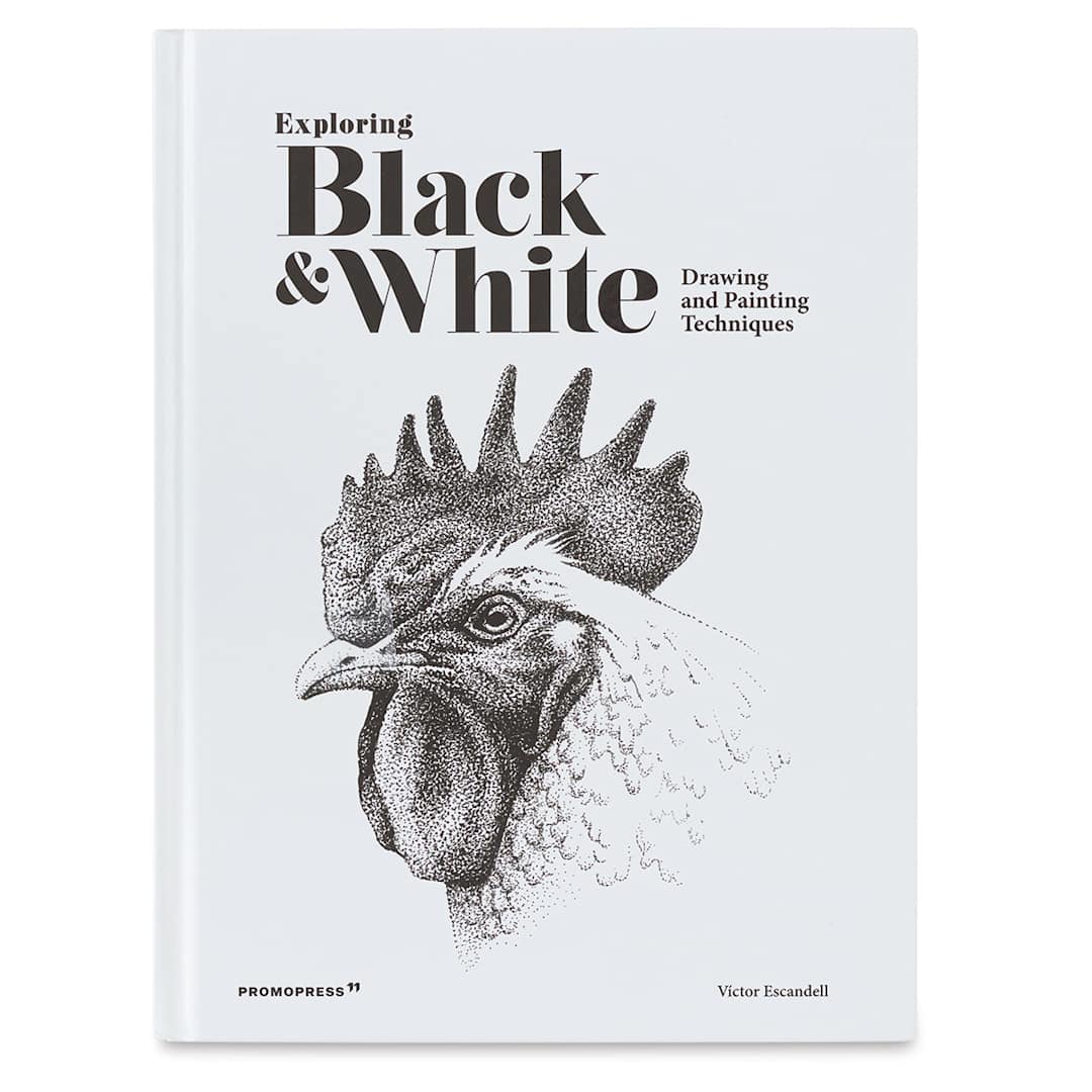 Open in modal - Exploring Black and White: Drawing and Painting Techniques - Front Cover
