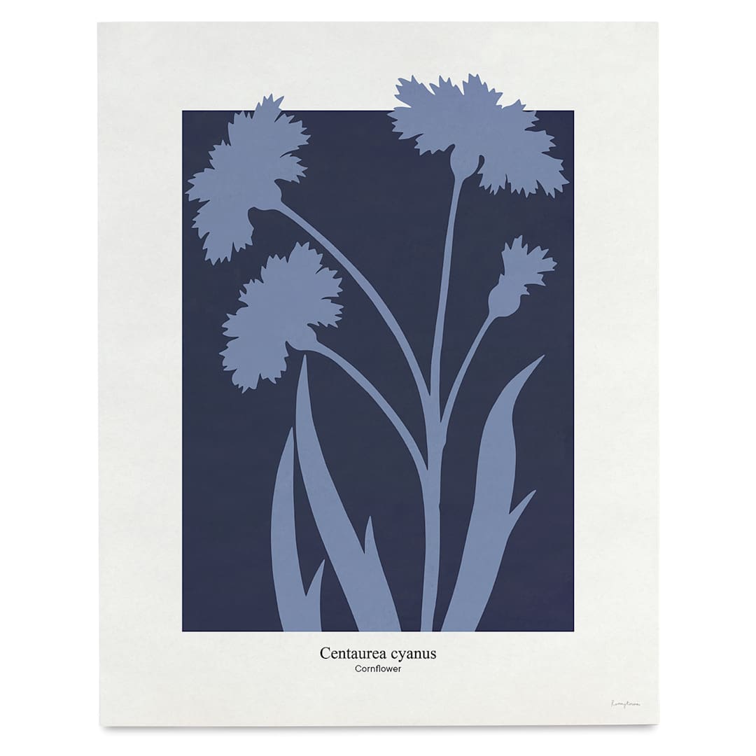 Open in modal - Roomytown Philipp Otto Runge Botancials Fine Art Giclee Print - Cornflower, 11" x 14"