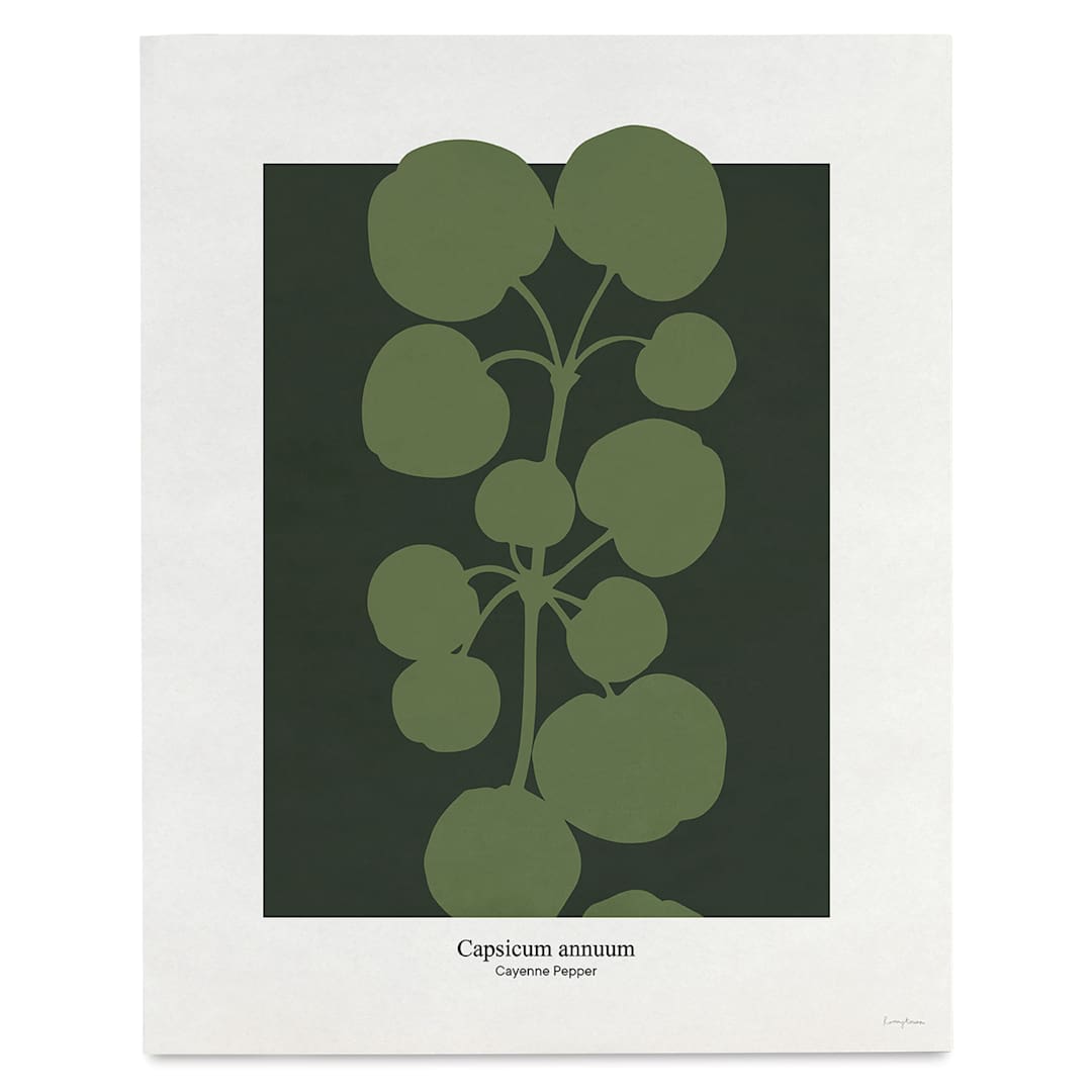 Open in modal - Roomytown Philipp Otto Runge Botancials Fine Art Giclee Print - Cayenne, 11" x 14"