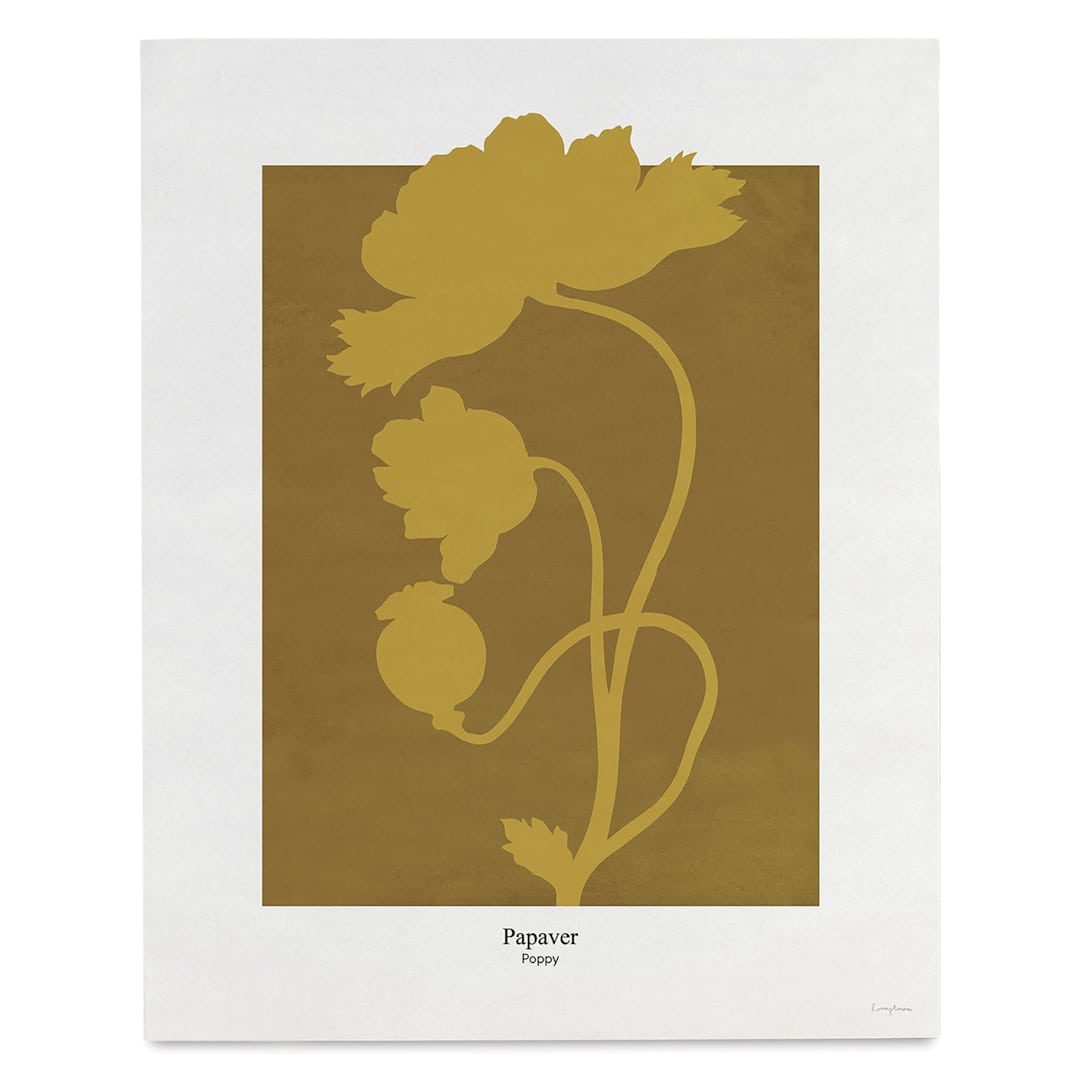 Open in modal - Roomytown Philipp Otto Runge Botancials Fine Art Giclee Print - Poppy, 11" x 14"