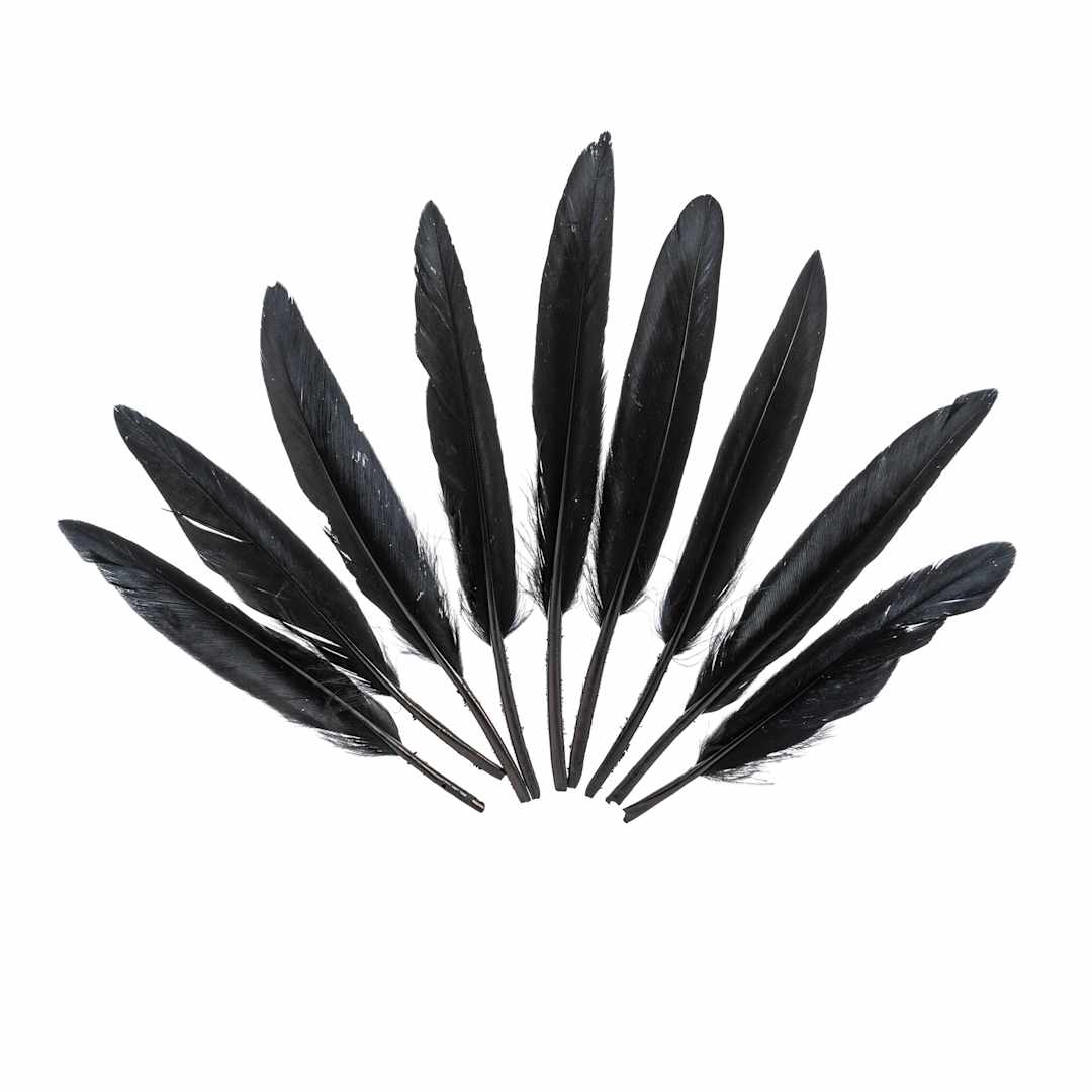 Open in modal - John Bead Duck Quill Feathers - Black