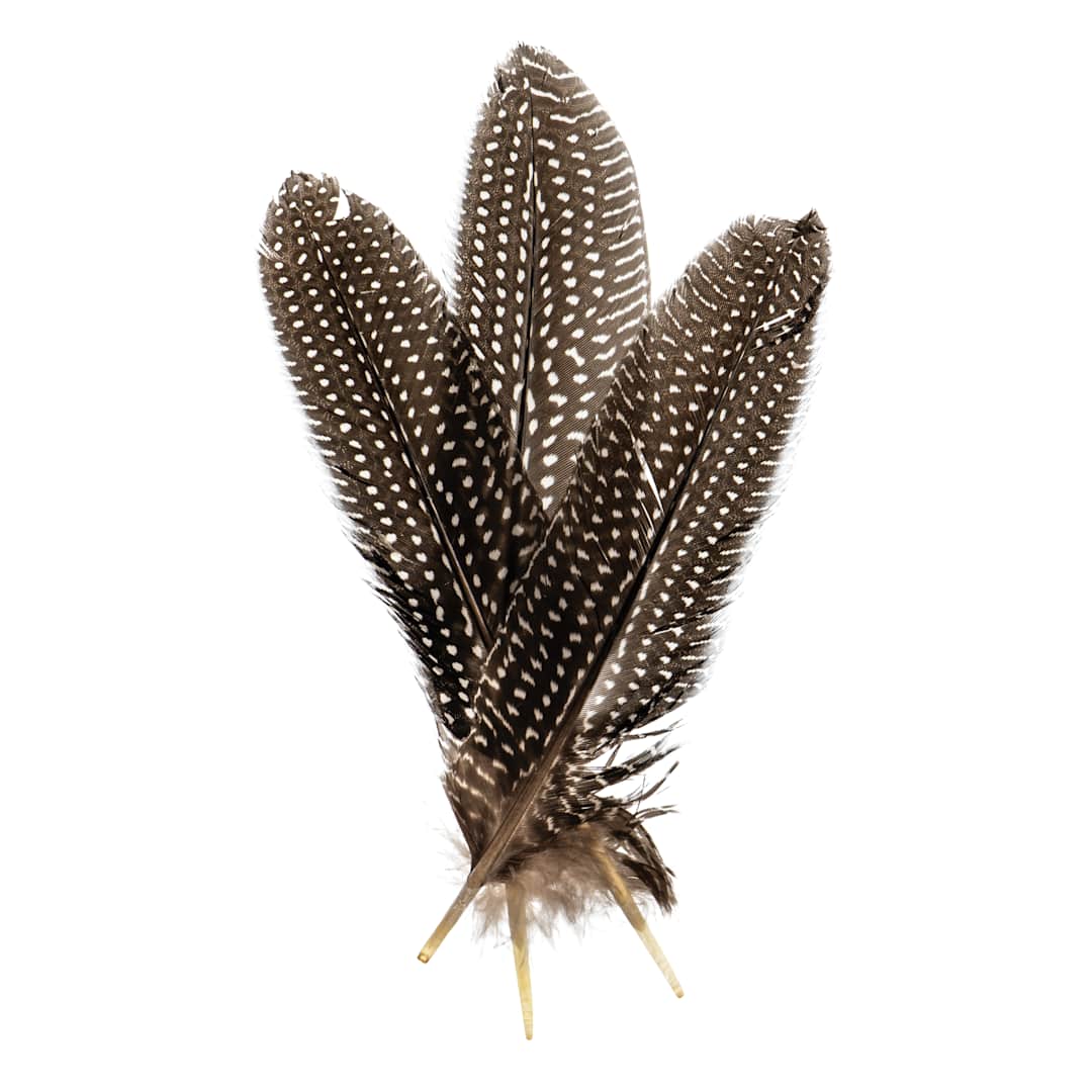 Open in modal - John Bead Guinea Fowl Quill Feathers - White