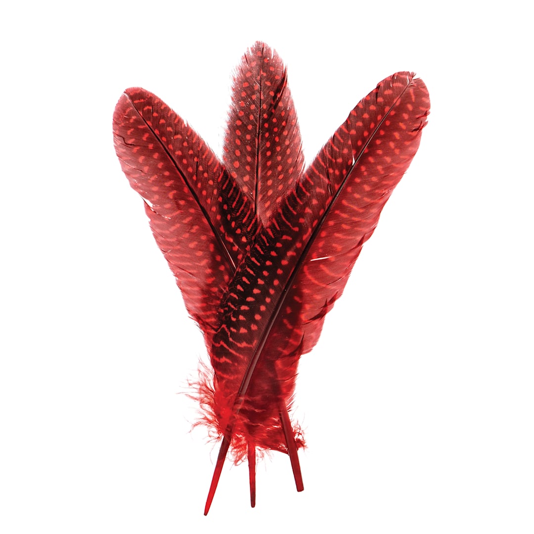Open in modal - John Bead Guinea Fowl Quill Feathers - Red