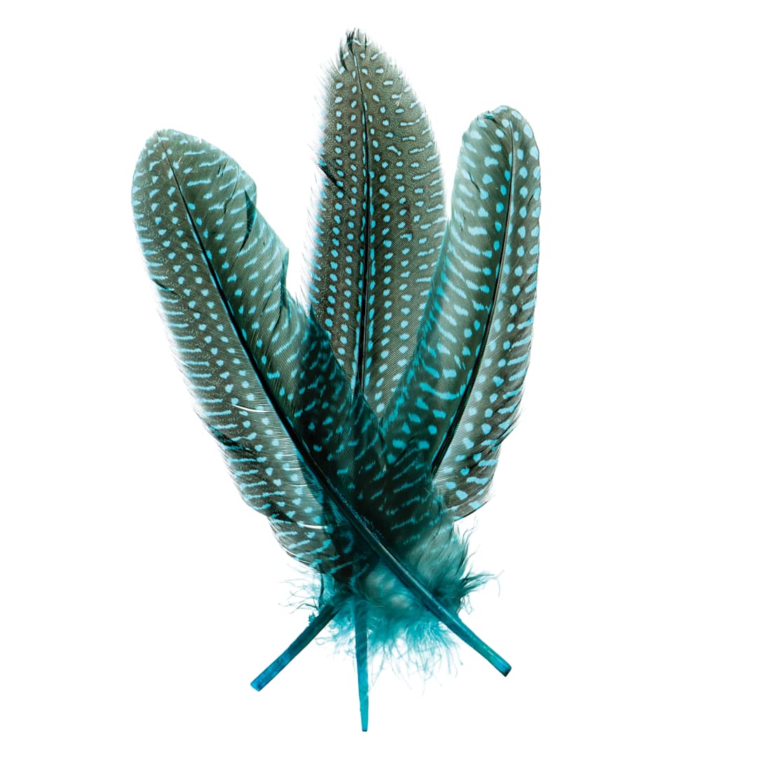 Open in modal - John Bead Guinea Fowl Quill Feathers - Turquoise