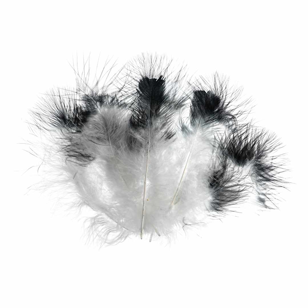 Open in modal - John Bead Marabou Feathers - White and Black - out of packaging
