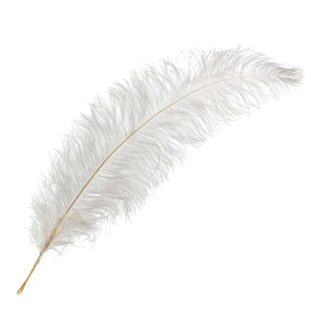 Open in modal - John Bead Ostrich Spad Feather - White