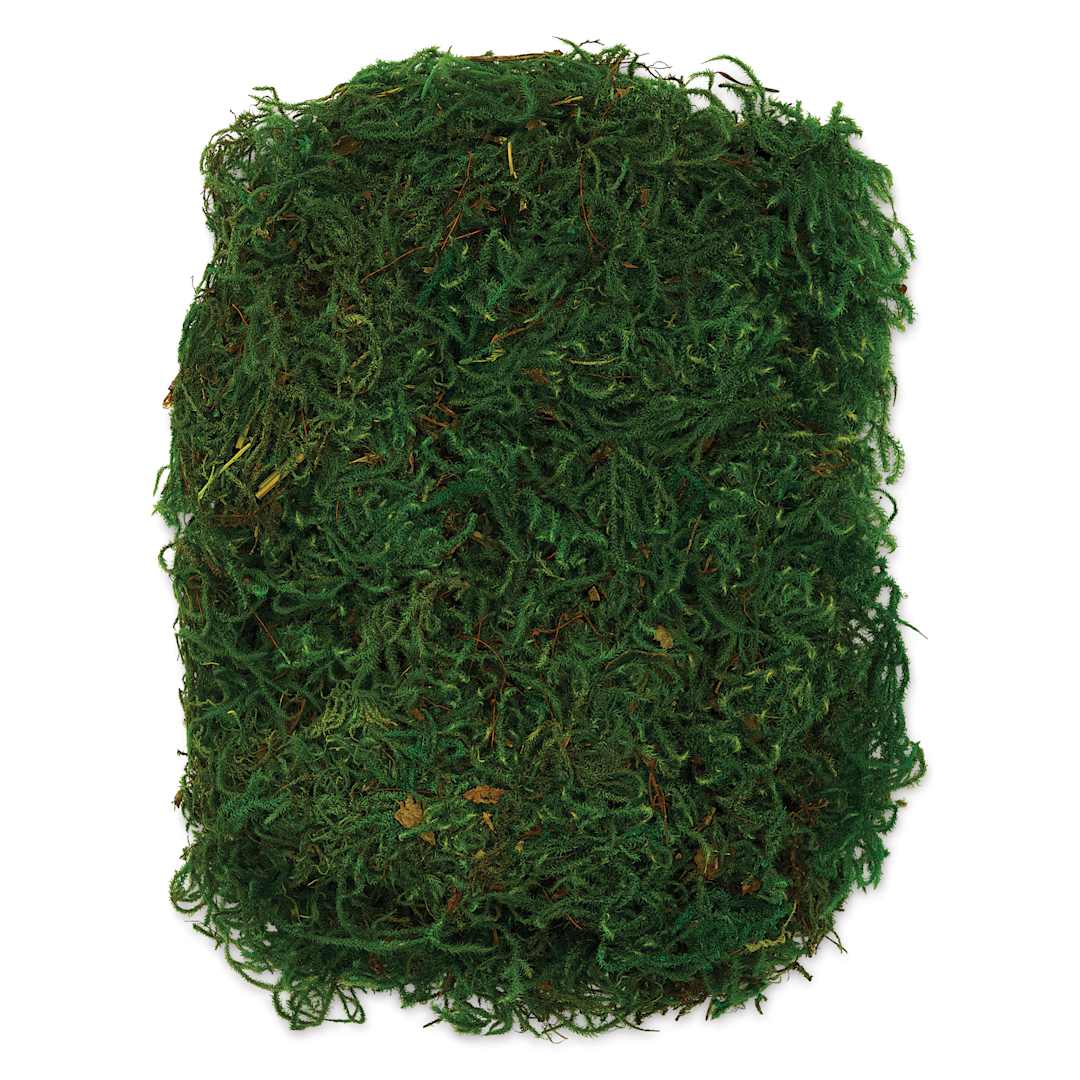 Open in modal - SuperMoss Preserved Forest Moss