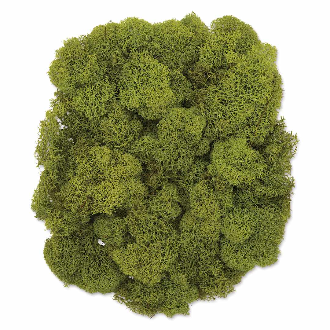 Open in modal - SuperMoss Preserved Reindeer Moss - Chartreuse