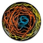 Open in modal - textile painting with mayco colors