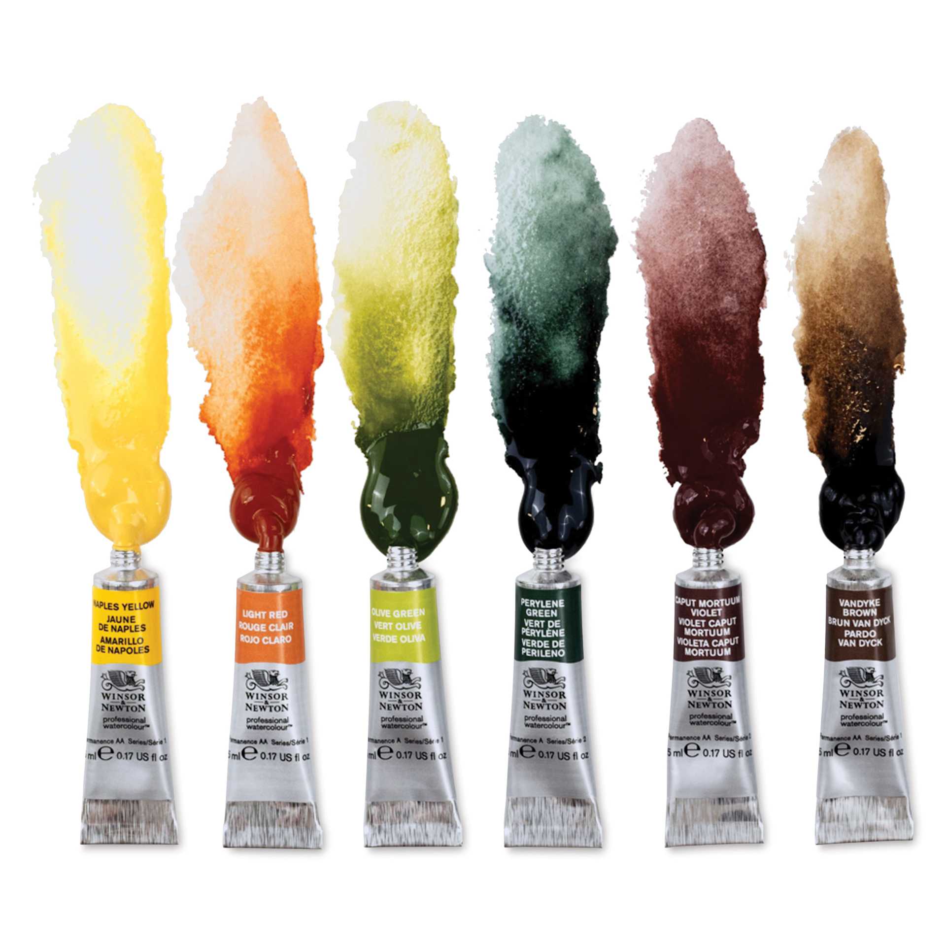 Winsor & Newton Professional Watercolor - Set of 6, Rich Earth, 5 ml