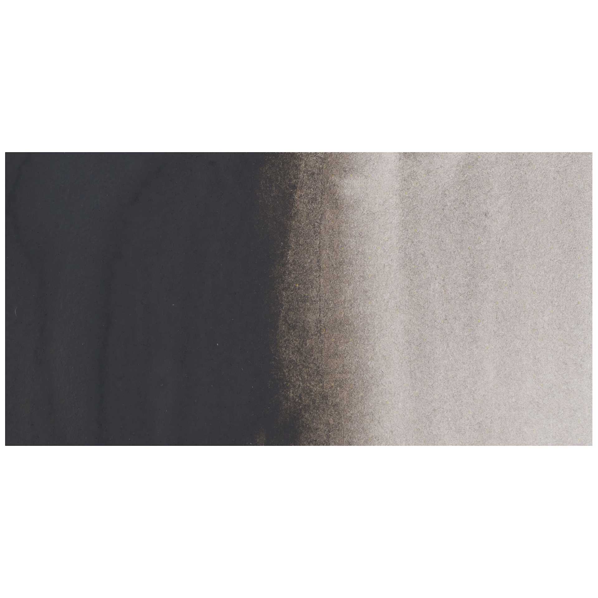 Winsor & Newton Professional Watercolor - Ostwald Gray swatch