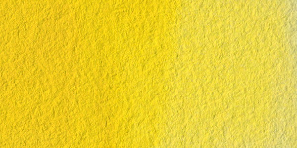 Winsor & Newton Professional Watercolor - Cadmium Yellow Pale swatch