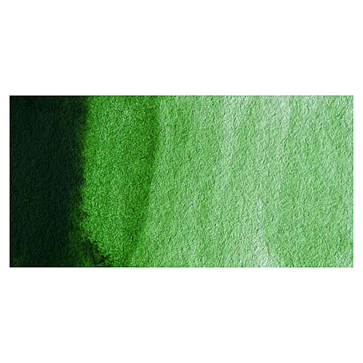 Winsor & Newton Professional Watercolor - Hooker's Green swatch
