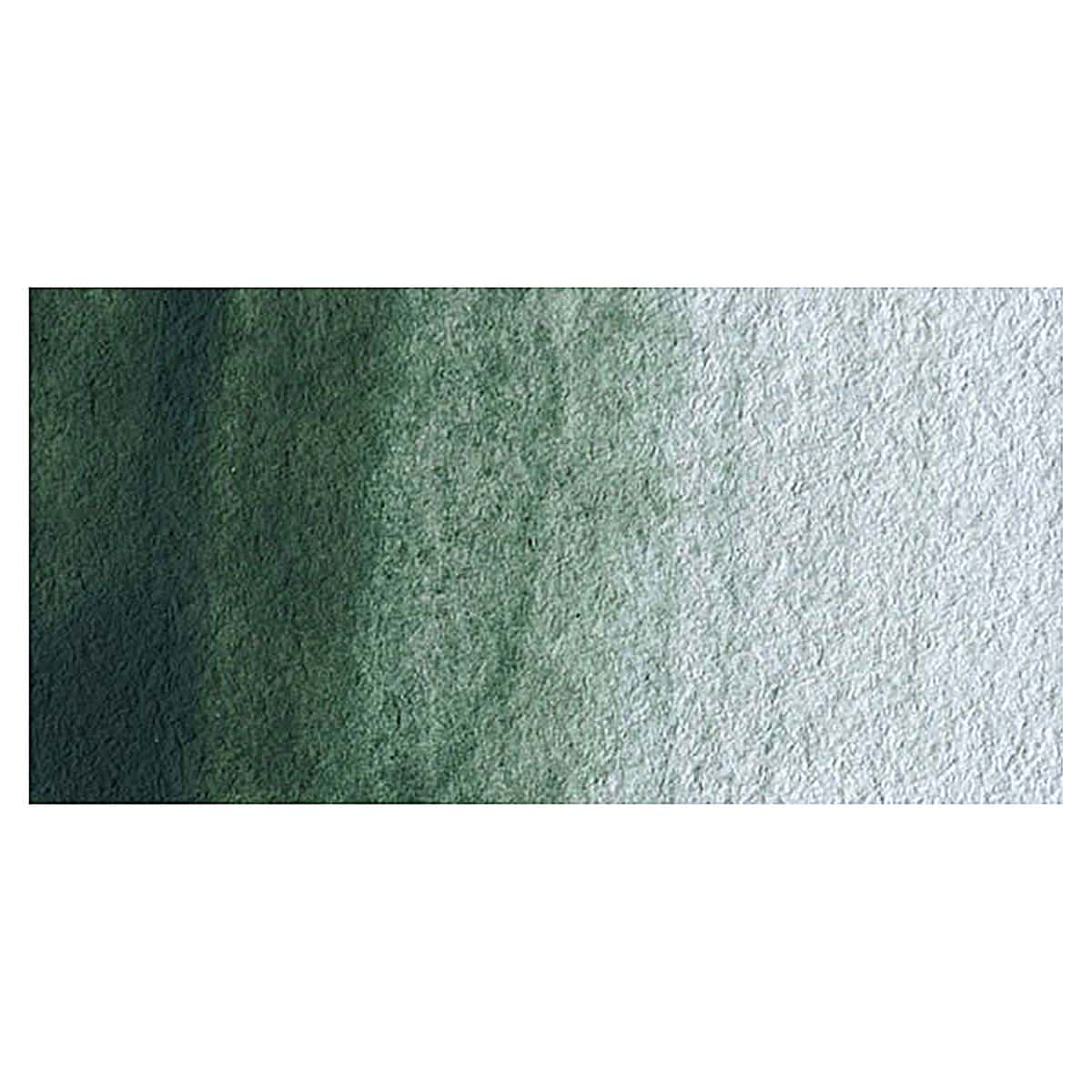 Winsor & Newton Professional Watercolor - Terre Verte swatch