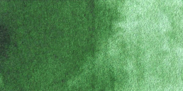 Winsor & Newton Cotman Watercolor - Hooker's Green Light swatch