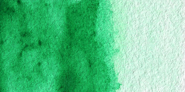 Winsor & Newton Cotman Watercolor - Intense Green swatch