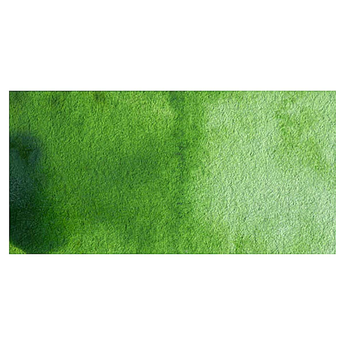 Winsor & Newton Cotman Watercolor - Sap Green swatch