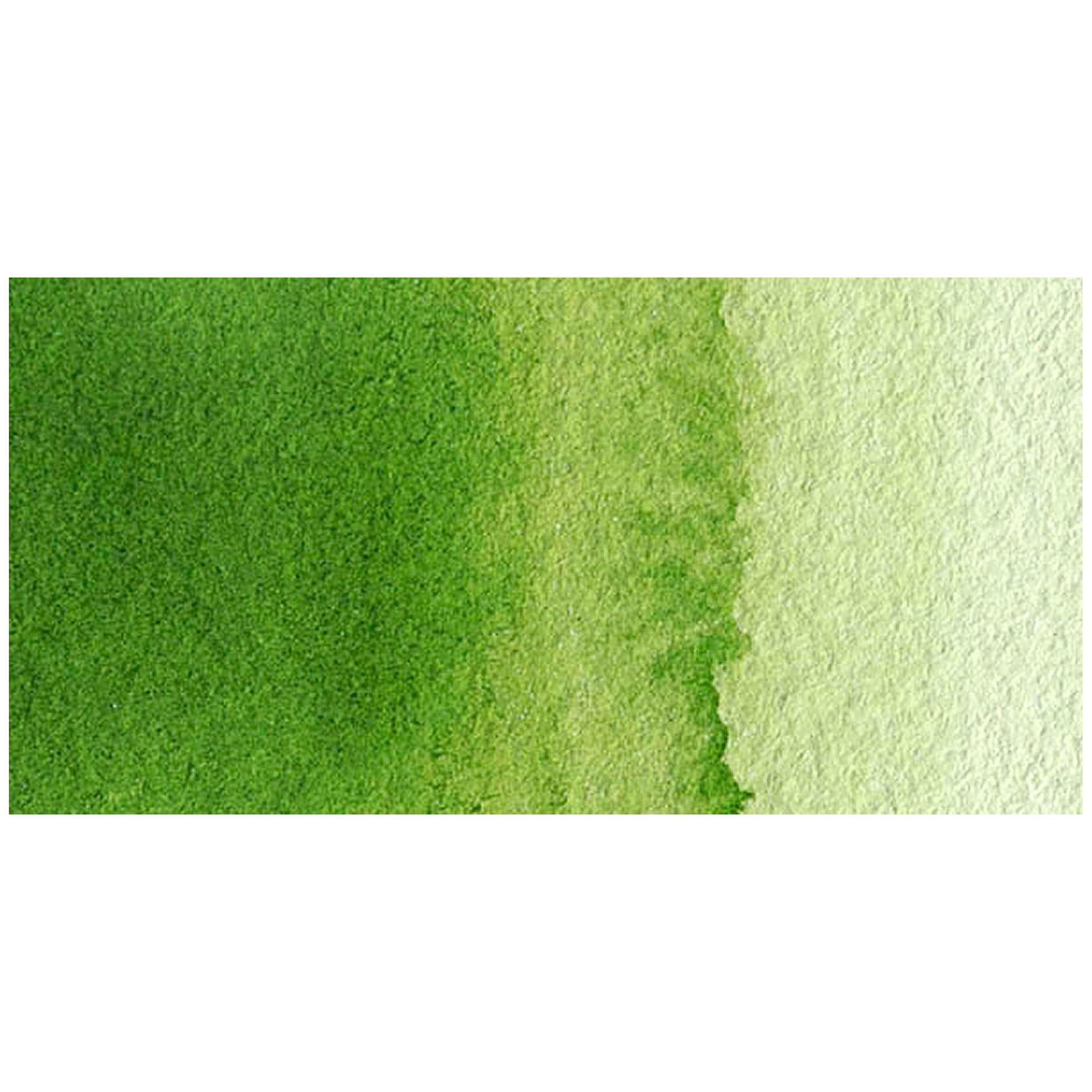Van Gogh Watercolor Half Pan - Sap Green swatch