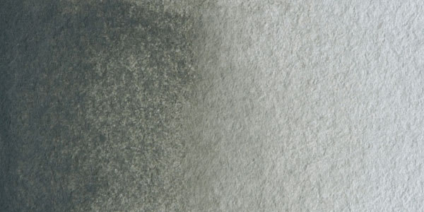 Old Holland Classic Artist Watercolor - Davy's Gray swatch