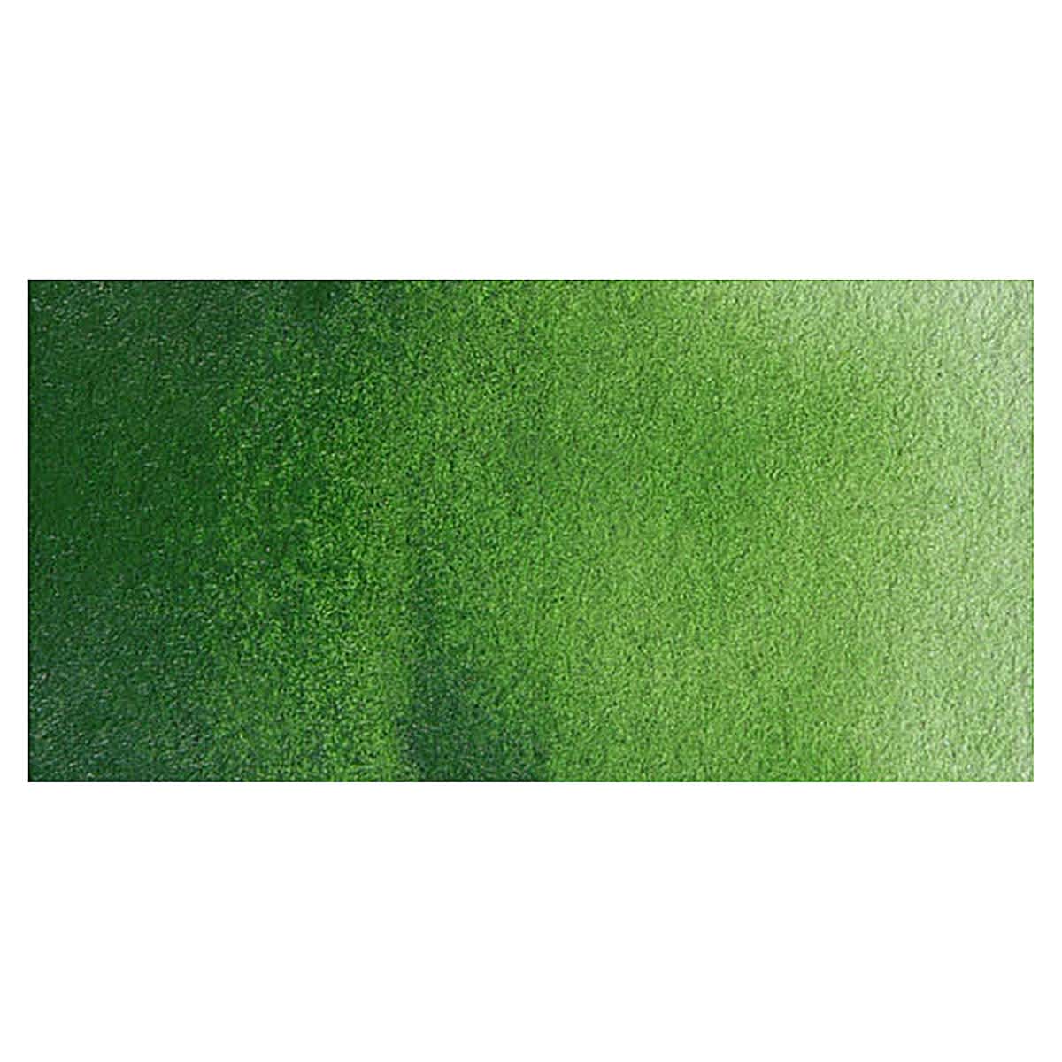 Old Holland Classic Artist Watercolor - Sap Green Lake Extra swatch