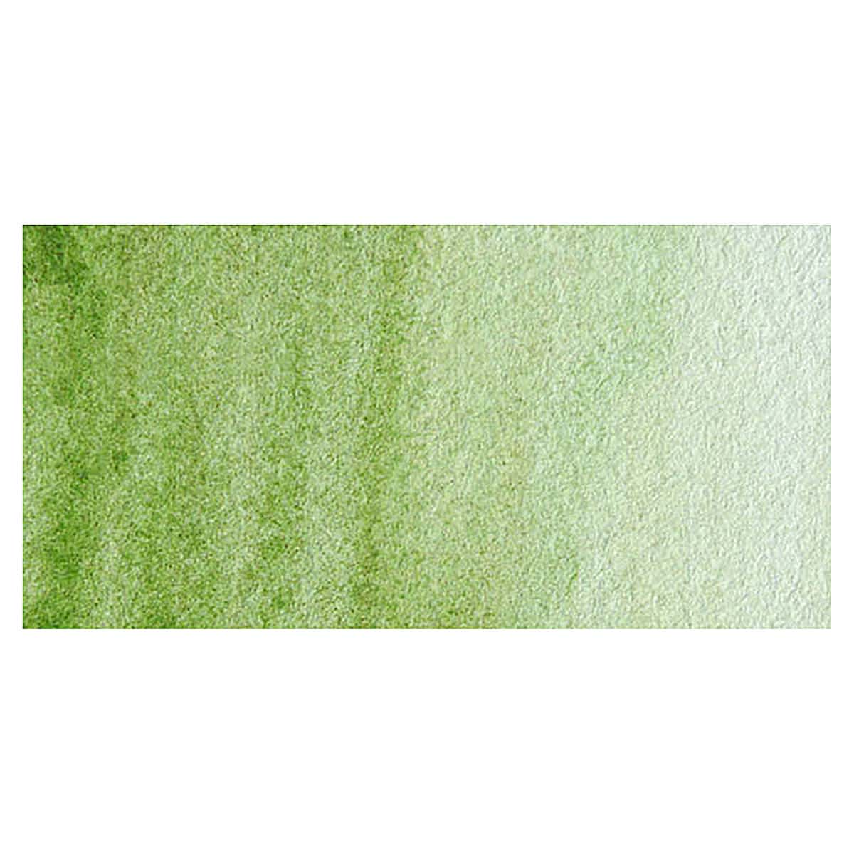 Maimeri Blu Artist Watercolor - Sap Green swatch