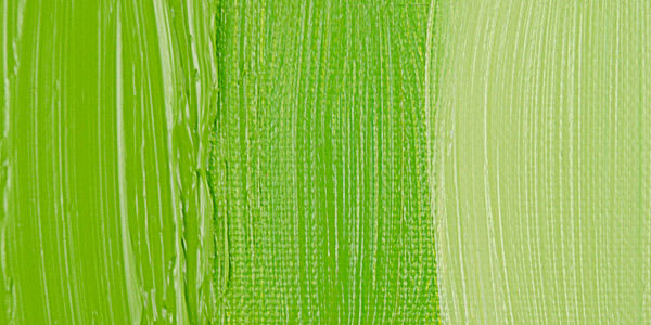 Rembrandt Artists' Oil Paint - Permanent Yellow Green swatch