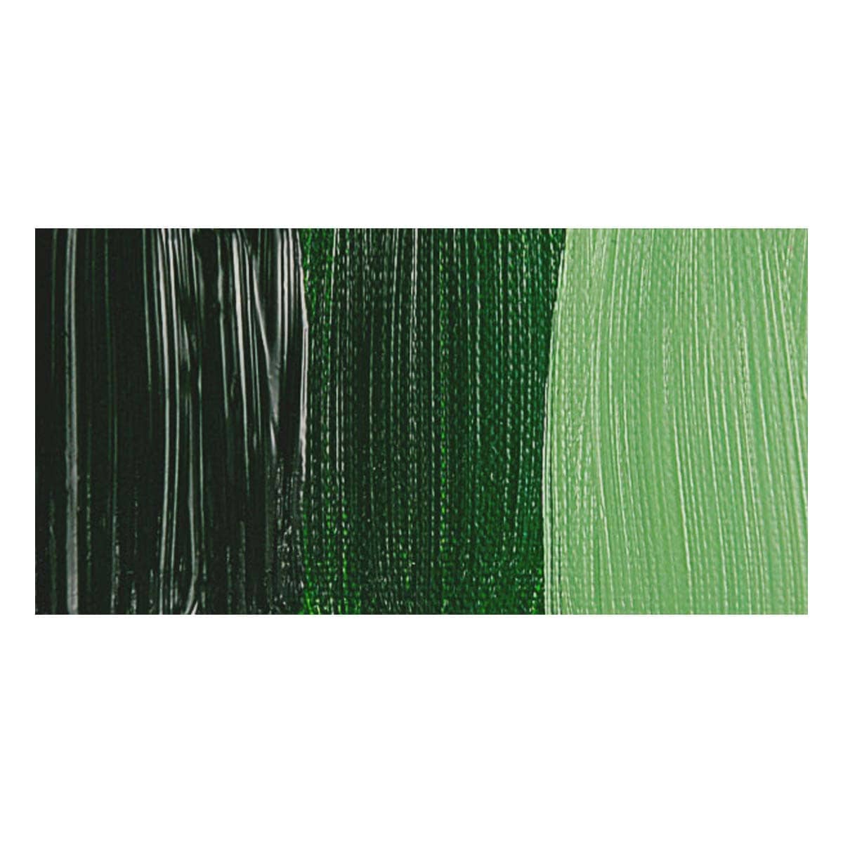 Rembrandt Artists' Oil Paint - Sap Green swatch