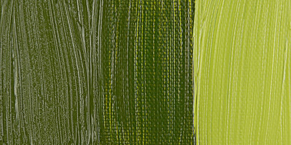 Rembrandt Artists' Oil Paint - Transparent Yellow Green swatch