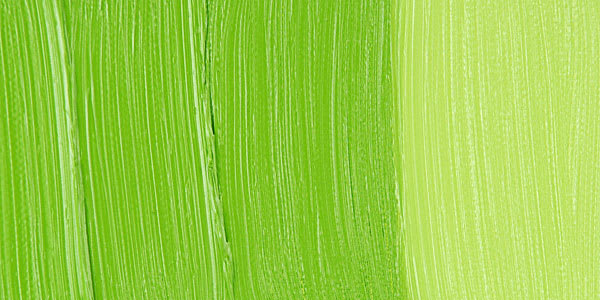 Holbein Artists' Oil Color - Cadmium Green Light swatch