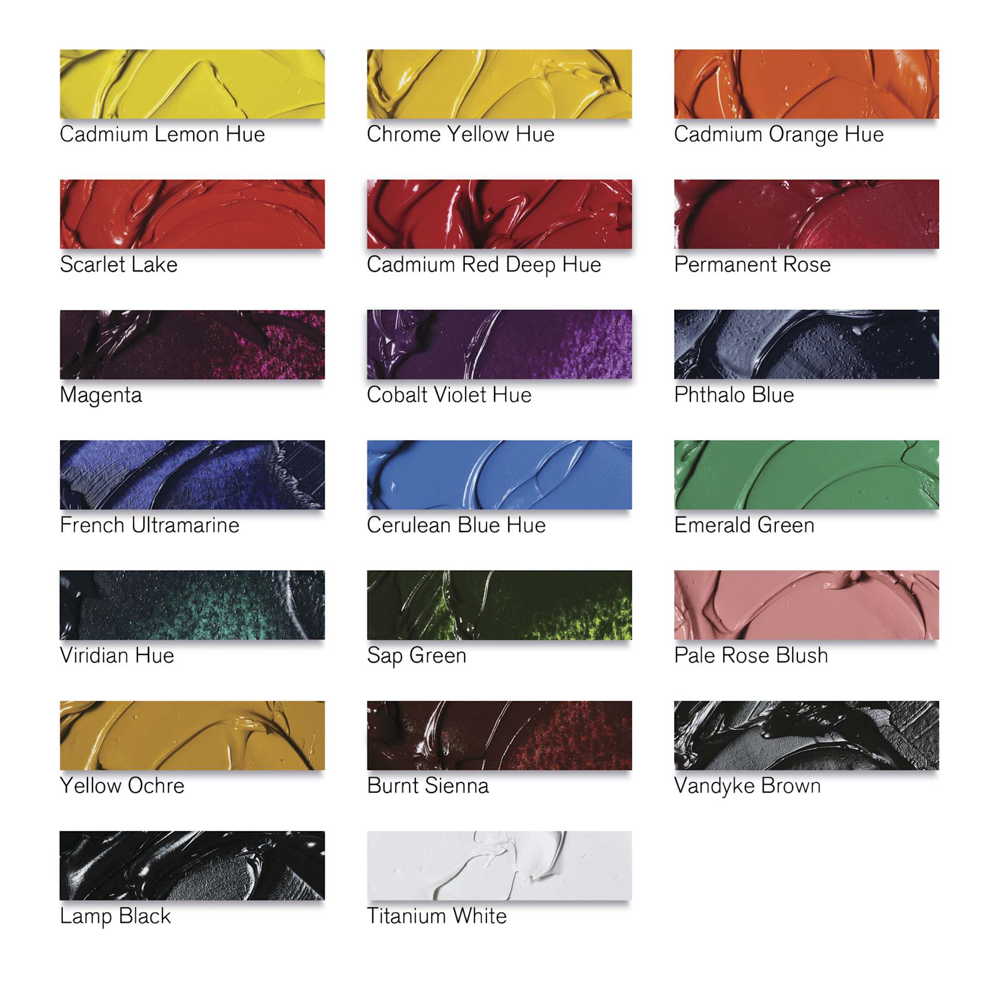 Winsor & Newton Winton Oil Paint - Set of 20, Assorted Colors, 12 ml, Tubes, swatches