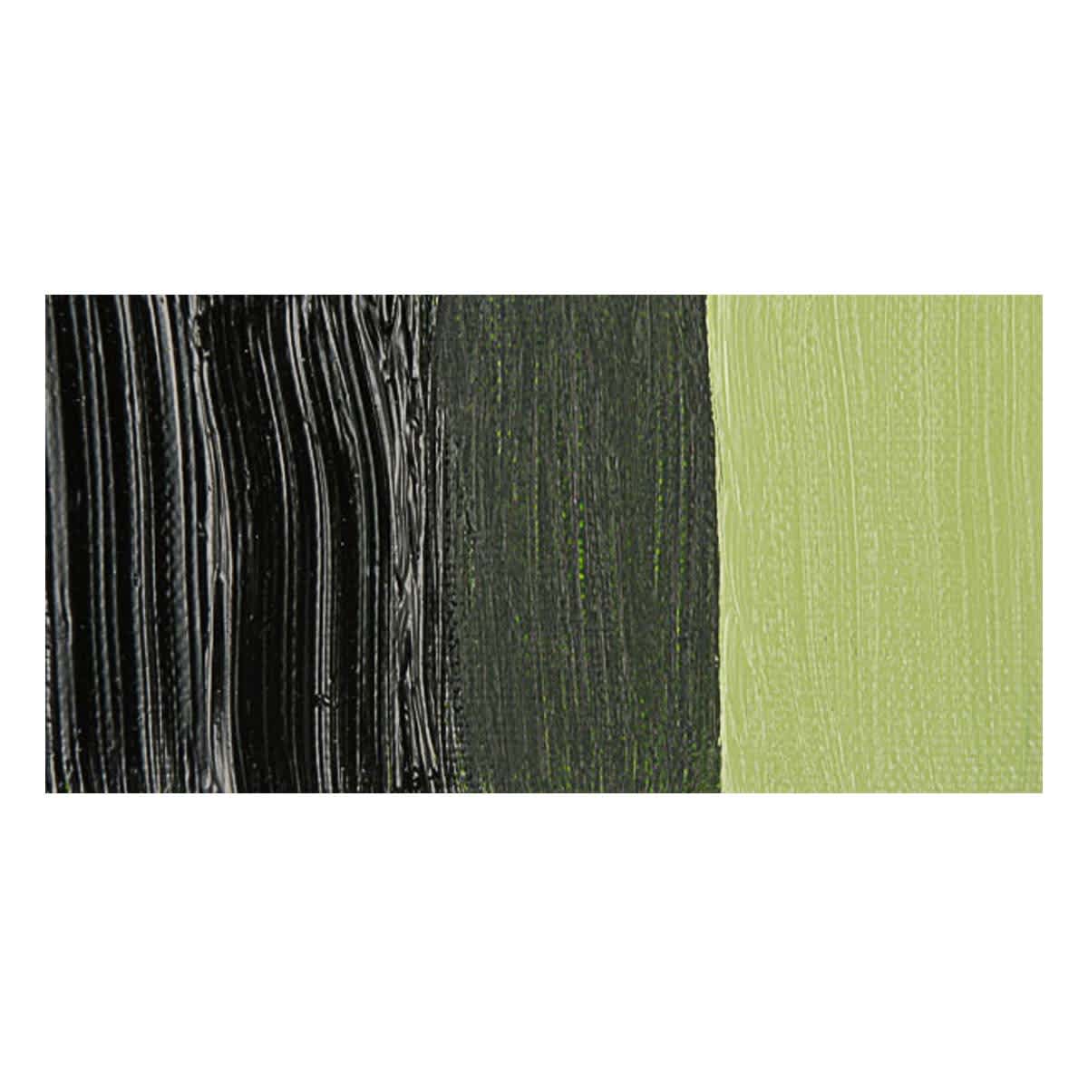 Winsor & Newton Winton Oil Color - Sap Green swatch