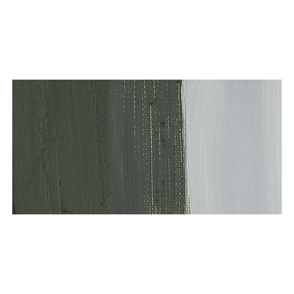 Winsor & Newton Artists' Oil Paint - Davy's Gray swatch