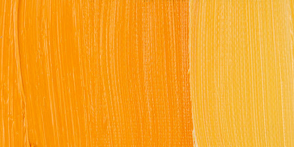 Winsor & Newton Artists' Oil Paint - Winsor Yellow Deep swatch