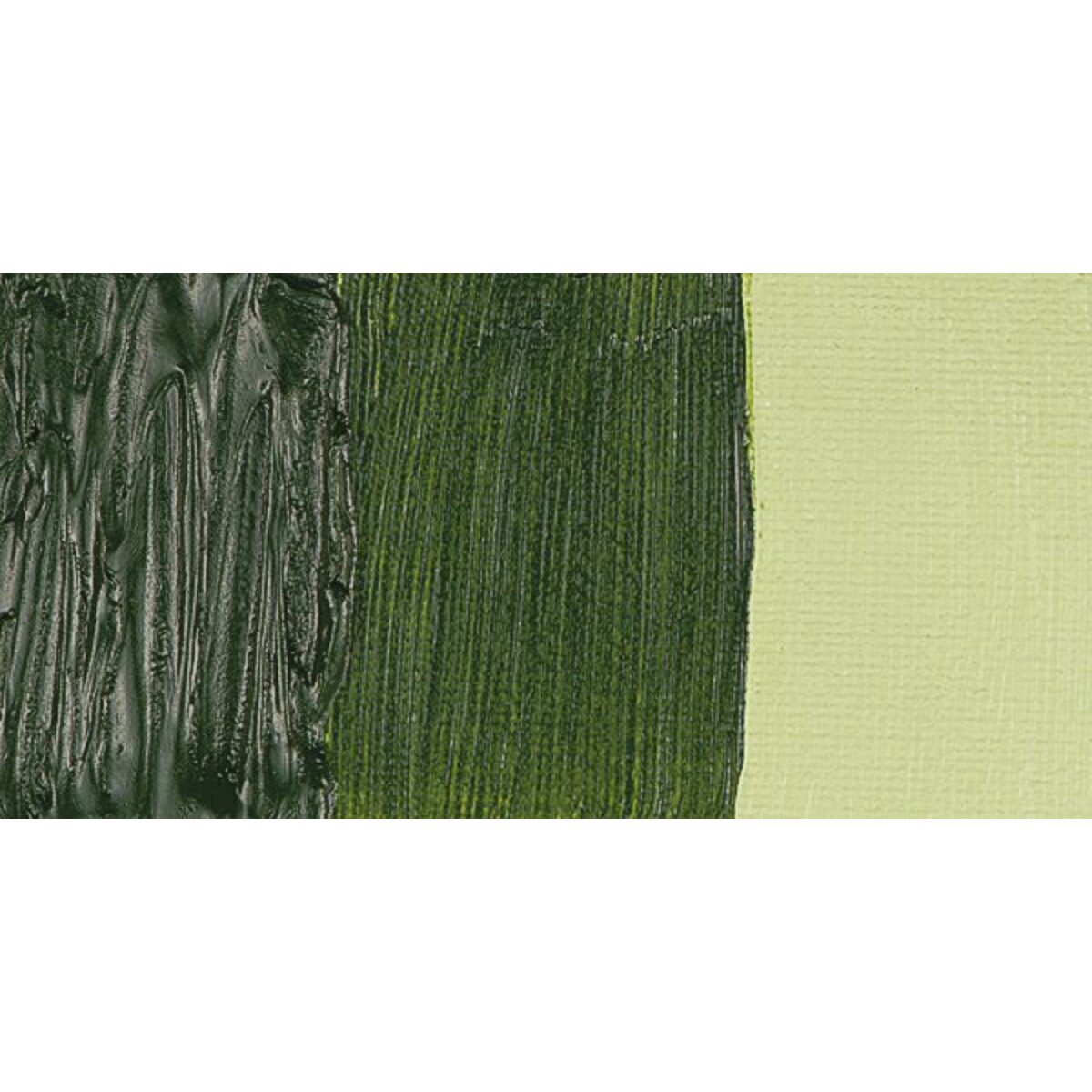 Van Gogh Oil Paint - Permanent Oilve Green swatch