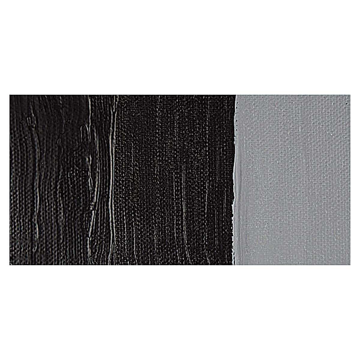 Liquitex Professional Heavy Body Acrylic Paint - Ivory Black swatch
