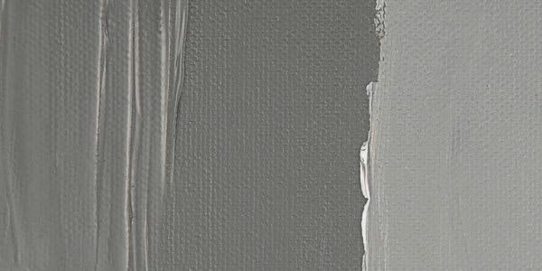 Liquitex Professional Heavy Body Acrylic Paint - Neutral Gray, Value 5 swatch