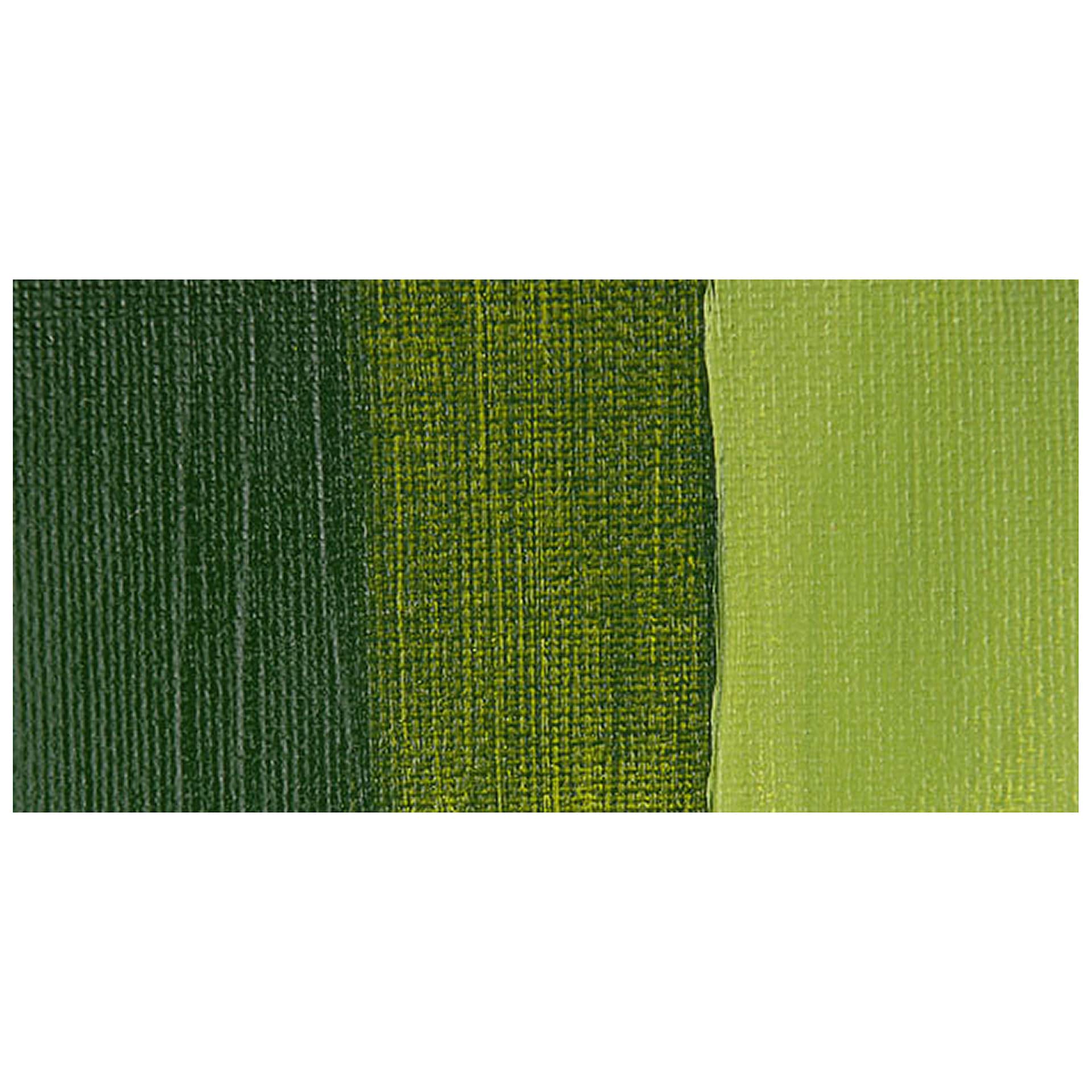 Chroma A2 Lightfast Heavy Body Arylic Paint - Olive Green Hue swatch