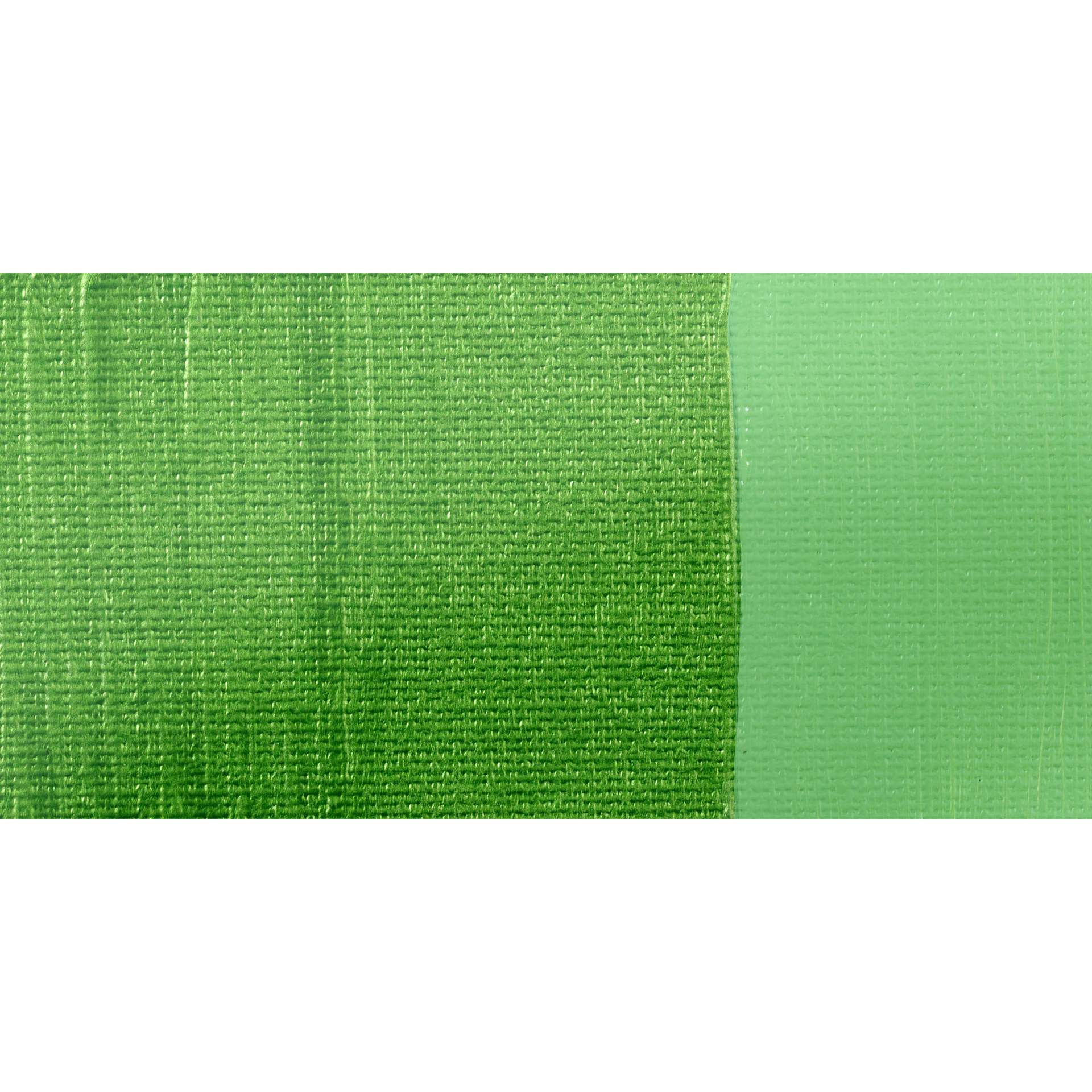 Liquitex Basics - Metallic Green swatch