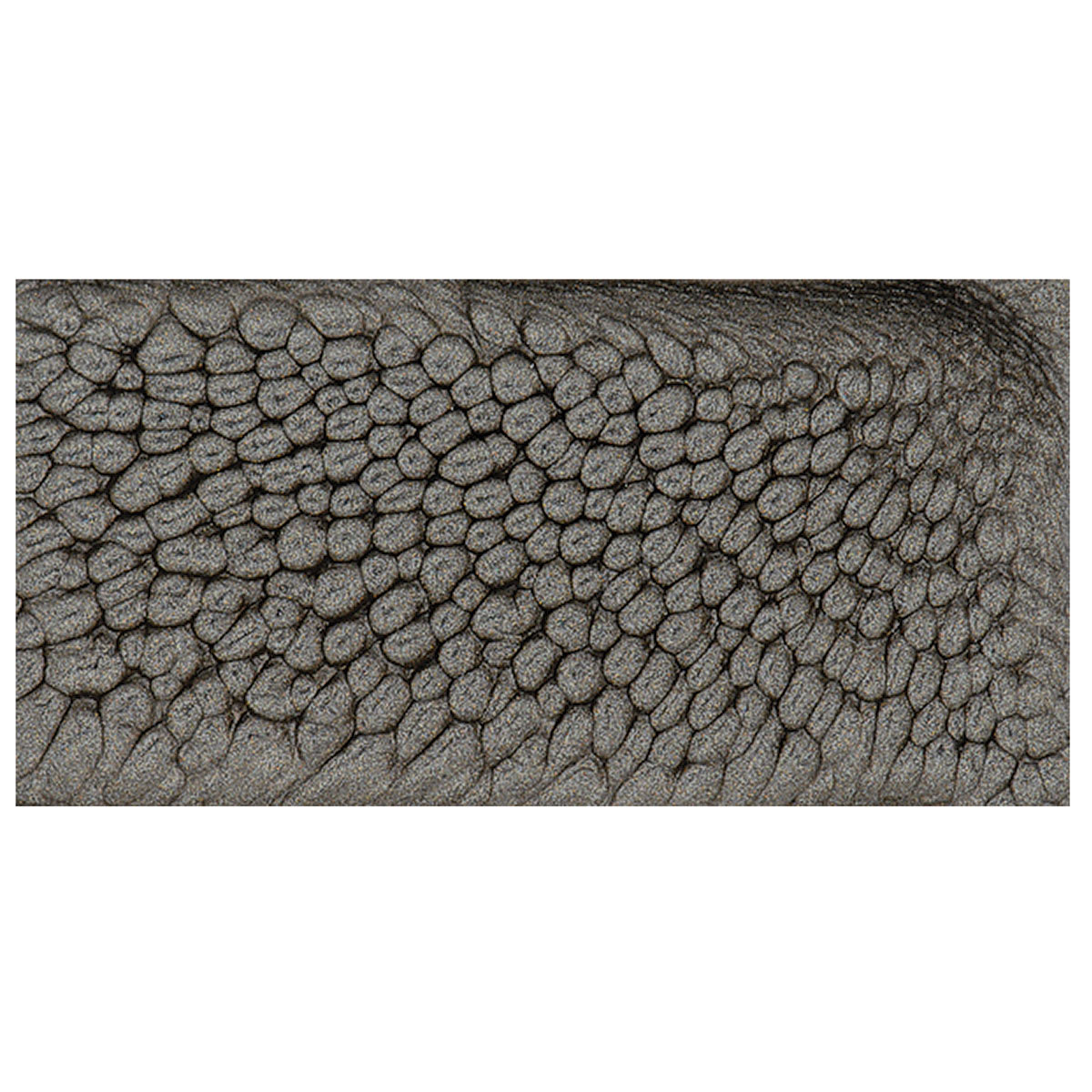 Pebeo Fantasy Prisme Paint - Onyx swatch