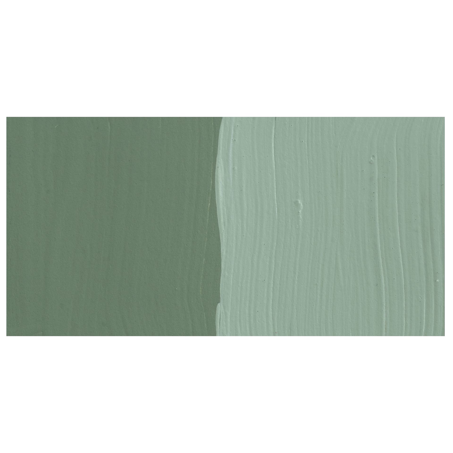 DecoArt Americana Acrylic Paint - Desert Cactus swatch