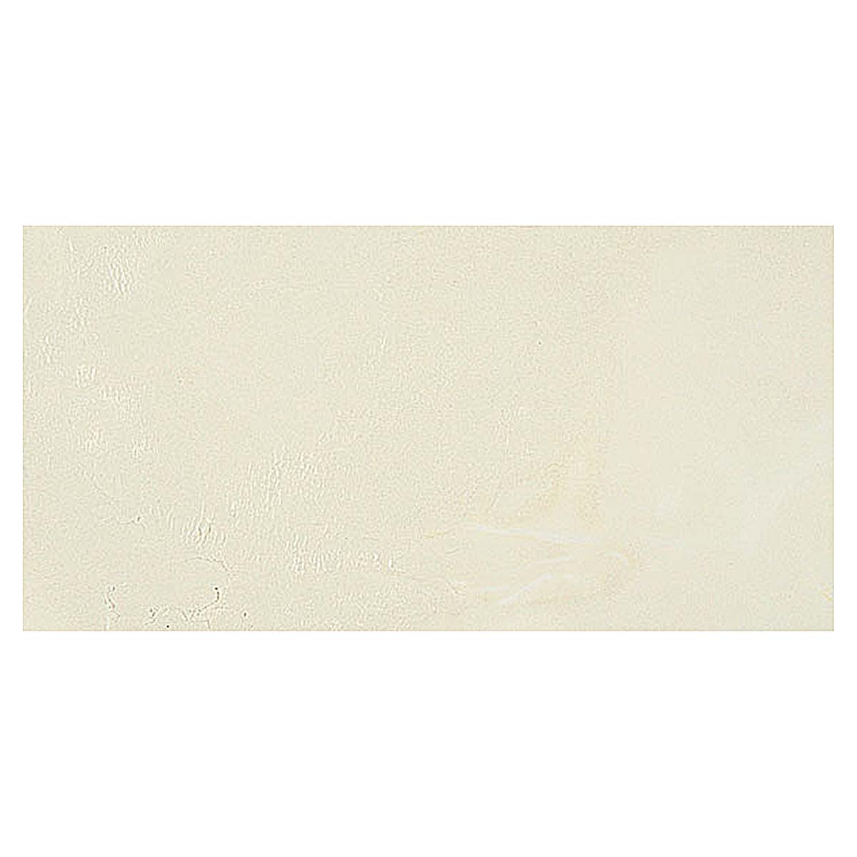 R&F Encaustic Paint - Neutral White swatch