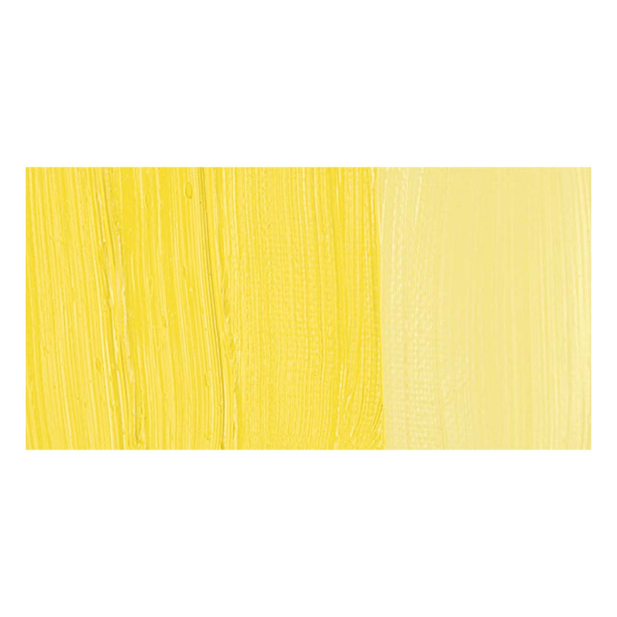 Maimeri Classico Oil Paint - Cadmium Yellow Light swatch