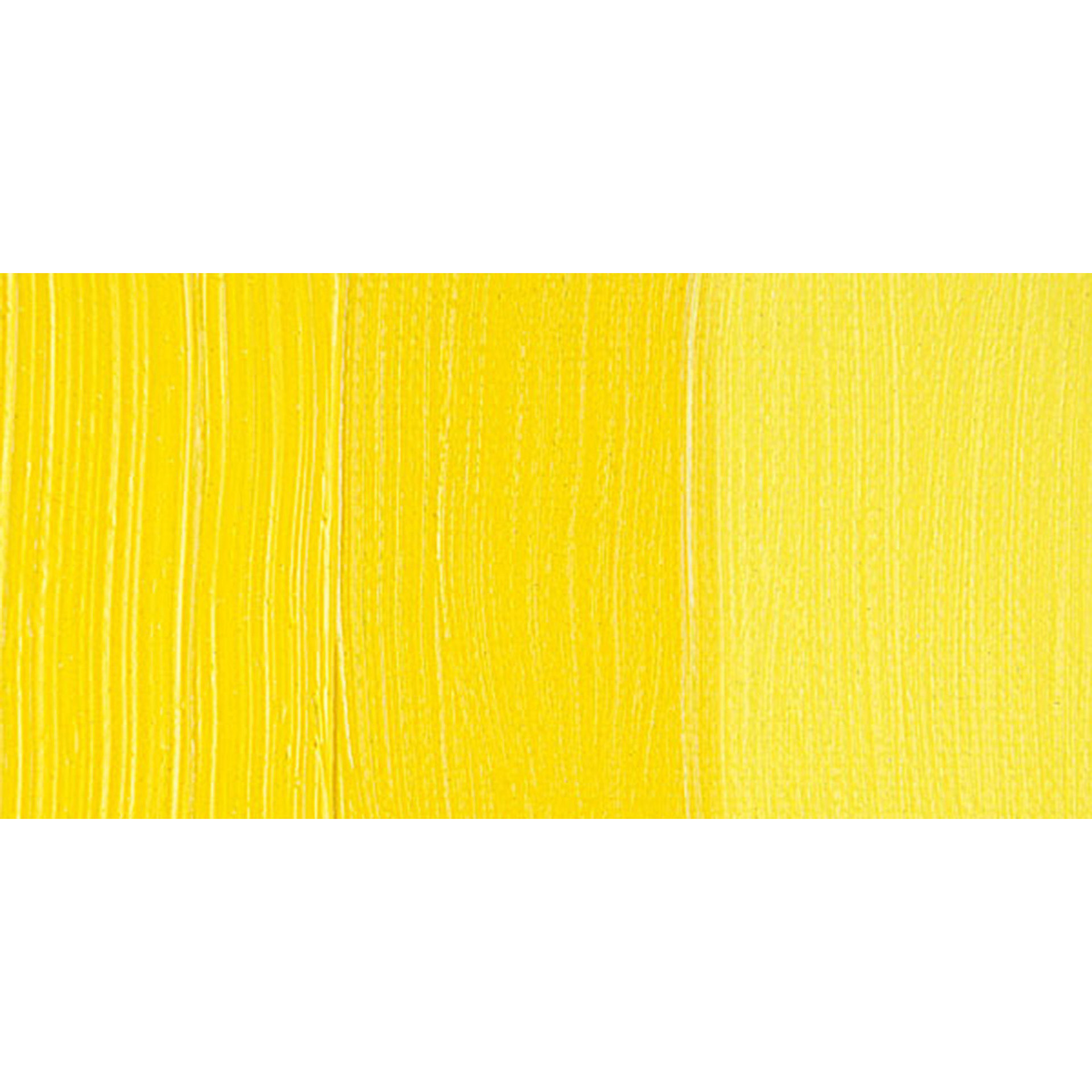 Blick Artists' Oil Paint - Cadmium Yellow Light swatch