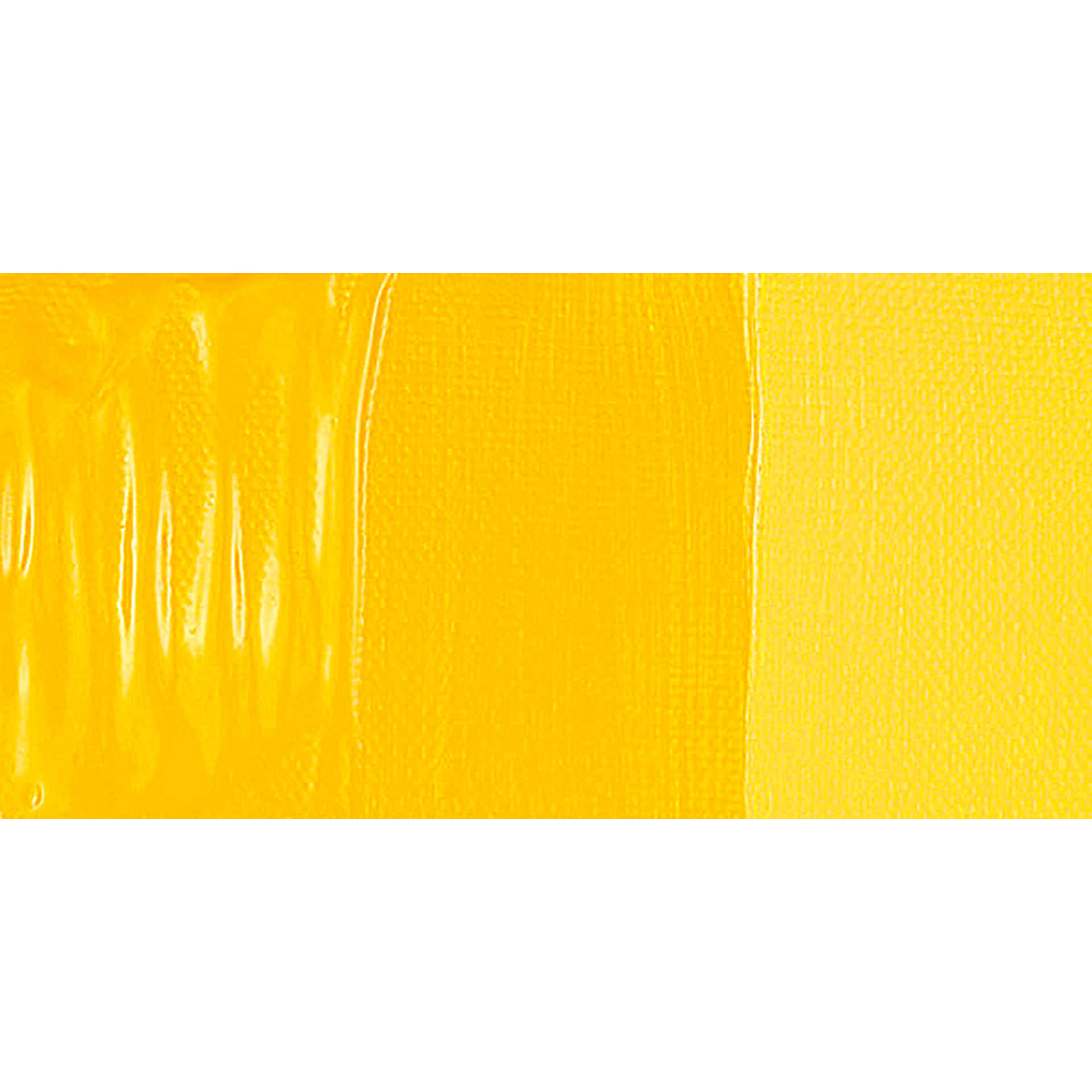 Golden Open Acrylic Paint - Cadmium Yellow Dark (CP) swatch