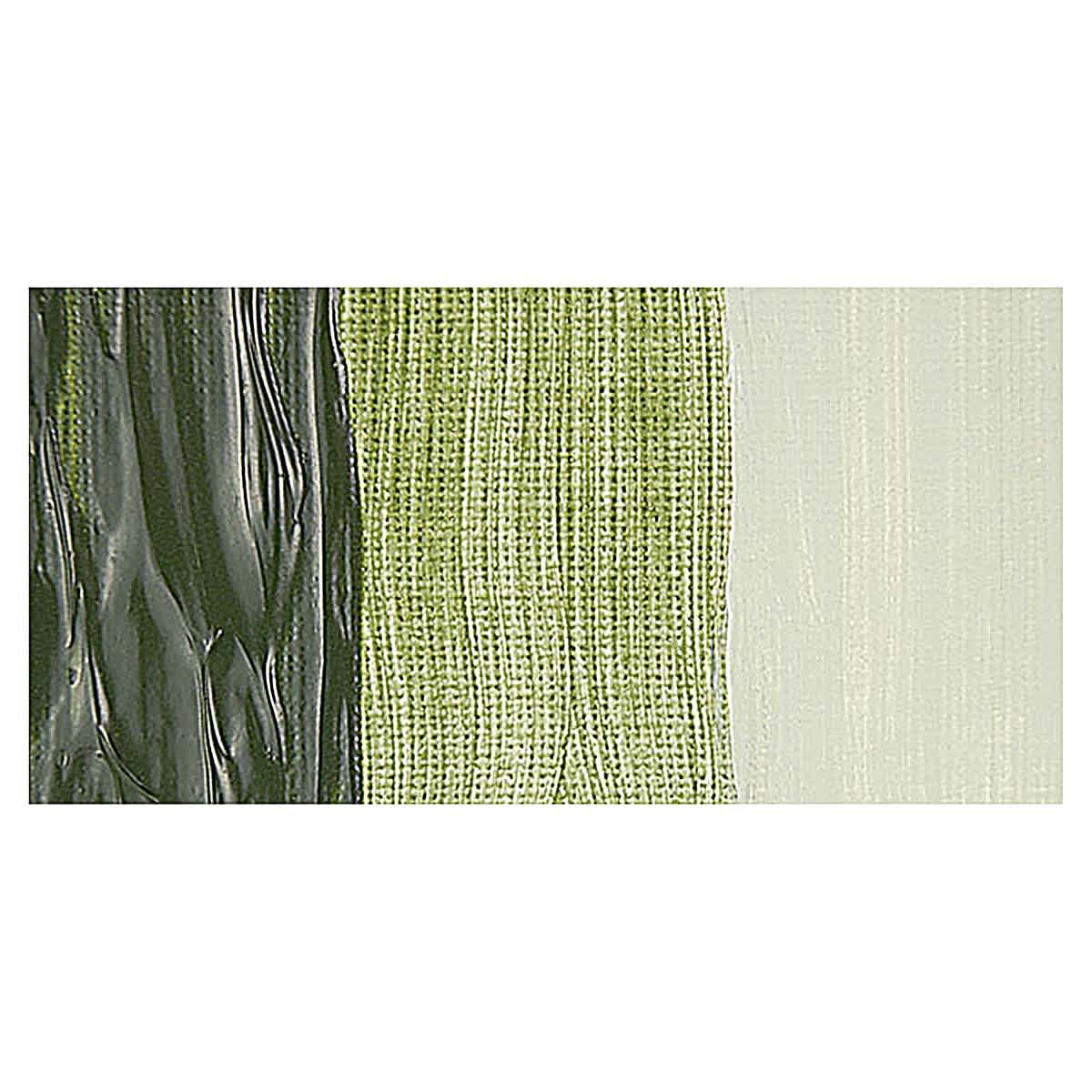 Old Holland New Masters Classic Acrylic Paint - Green Earth swatch