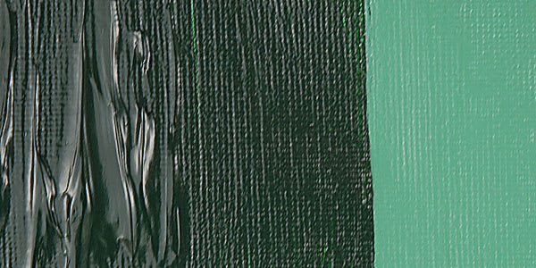Old Holland New Masters Classic Acrylic Paint - Hooker's Green Deep Extra swatch