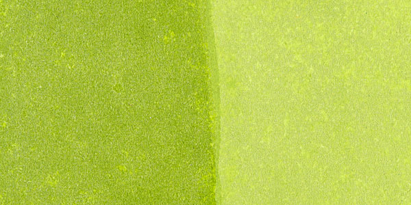 Golden High Flow Acrylic Paint - Green Gold swatch