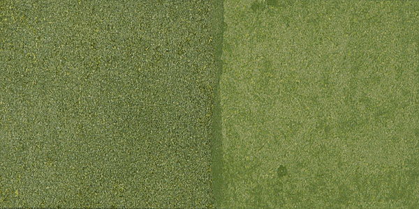Golden High Flow Acrylic Paint - Sap Green Hue swatch